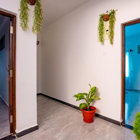 Goan Fiesta Studio Calangute Goa Villa Exterior photo